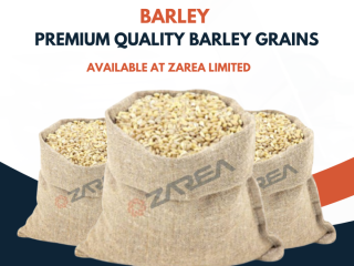 Barley Grains | Zarea Limited