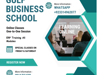 ERP Training Commerce Institute / Online Classes