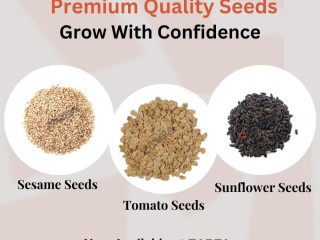 Quality Seeds Available on Zarea Limited