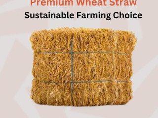 Wheat Straw Premium Agricultural Biomass | Zarea Limited