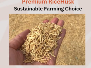 Rice Husk | Available at Zarea Limited