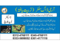 army-dog-center-d-g-khan-03335698052-small-0