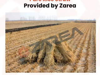 Rice Straw Available at Zarea Limited