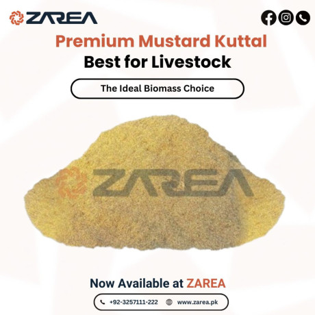 mustard-kuttal-available-at-zarea-limited-big-0