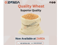 wheat-available-at-zarea-limited-small-0