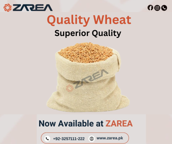 wheat-available-at-zarea-limited-big-0