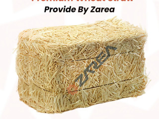 Wheat Straw Available at Zarea |