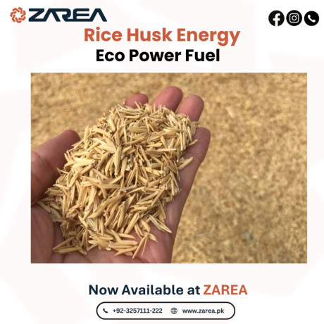 rice-husk-available-at-zarea-limited-big-0