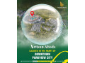apartment-for-sale-in-downtown-park-view-city-islamabad-small-0