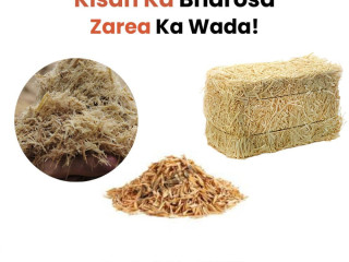 Agriculture Biomass Options Available at Zarea Limited