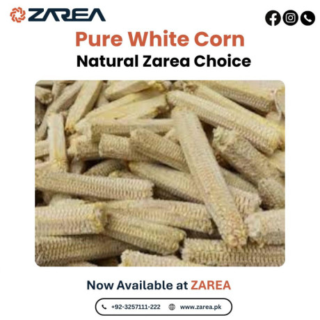 corn-cob-white-available-on-zarea-limited-big-0