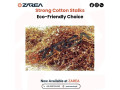 cotton-stalks-available-at-zarea-small-0